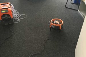 Teppichtrocknung