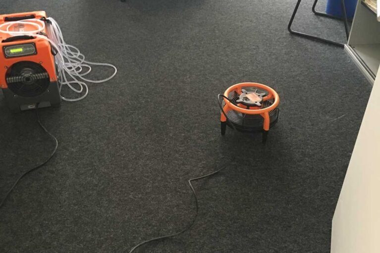 Teppichtrocknung